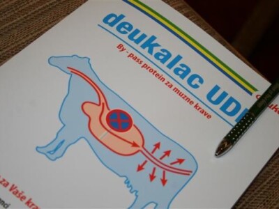 Seminar o proteinima u hranidbi krava