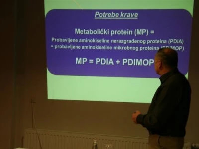 Seminar o proteinima u hranidbi krava