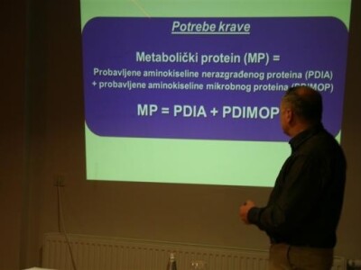Seminar o proteinima u hranidbi krava