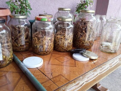 Semir Bulić: Nije mi se desilo da se neko požali na moje proizvode Semir Bulić: Nije mi se desilo da se neko požali na moje proizvode