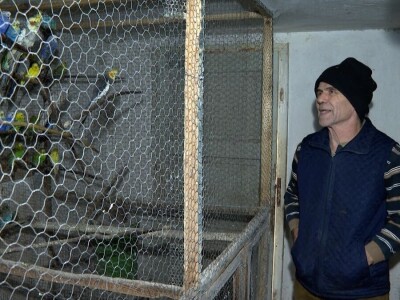 Senad na unuka prenosi ljubavi ka stinim životinjama Senad na unuka prenosi ljubavi ka stinim životinjama