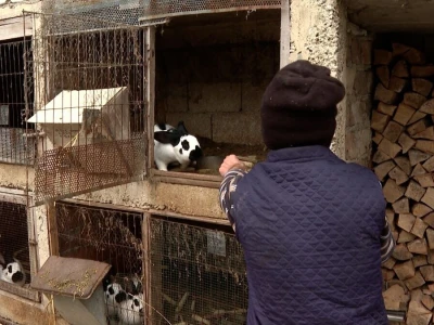 Senad na unuka prenosi ljubavi ka stinim životinjama