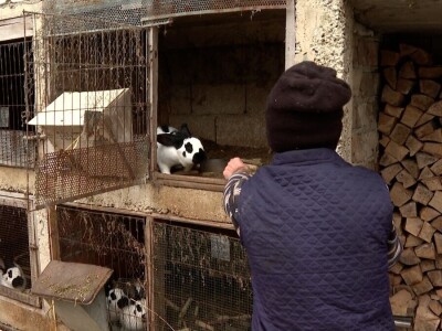 Senad na unuka prenosi ljubavi ka stinim životinjama Senad na unuka prenosi ljubavi ka stinim životinjama