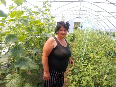 Senada Ljutić: Sve je poskupilo, a cijena jagode spala sa 3,5KM na 3KM