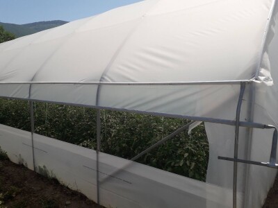 Senada Ljutić: Sve je poskupilo, a cijena jagode spala sa 3,5KM na 3KM