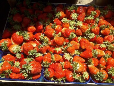 Senada Ljutić: Sve je poskupilo, a cijena jagode spala sa 3,5KM na 3KM