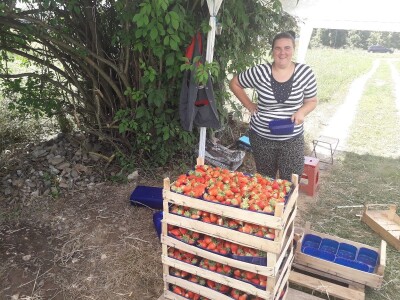 Senada Ljutić: Sve je poskupilo, a cijena jagode spala sa 3,5KM na 3KM