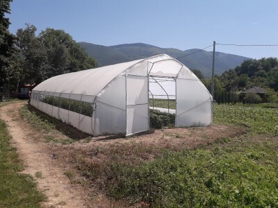 Senada Ljutić: Sve je poskupilo, a cijena jagode spala sa 3,5KM na 3KM