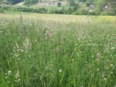 Senaža spas za stočare