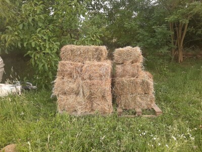 Senaža spas za stočare