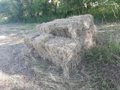 Senaža spas za stočare