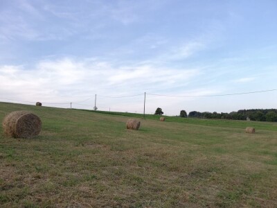 Senaža spas za stočare