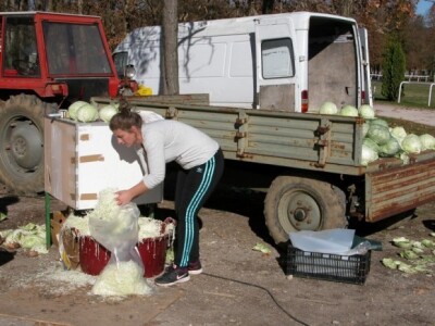 Senka Grujović reže i pakira rezani glavati kupus