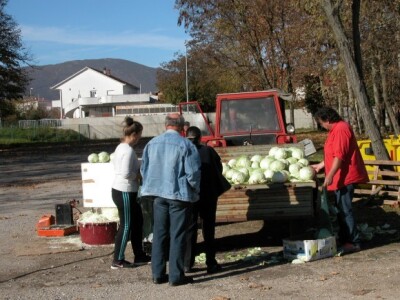 Senka Grujović sa svojim kupcima kupusa