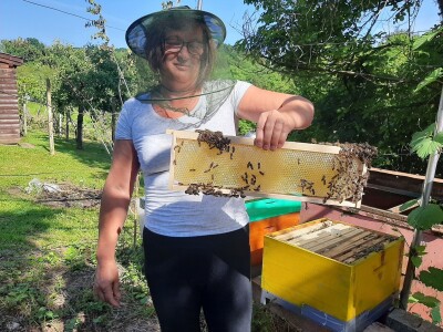 Foto galerija: Lipanj u pčelinjaku