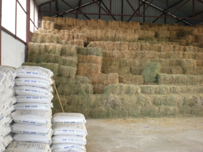 Dobro čuvana kabasta hrana za stoku