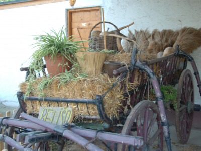 Seoski turizam na području Grada Zrenjanina