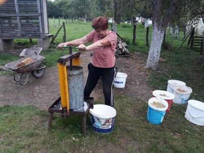 Seoske avlije mirišu na pekmez i sirće od jabuka