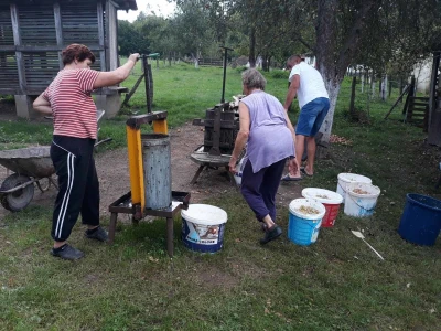 Seoske avlije mirišu na pekmez i sirće od jabuka