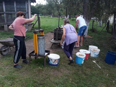Seoske avlije mirišu na pekmez i sirće od jabuka
