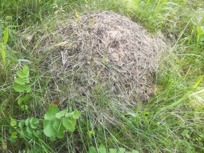 Seoski turizam Seoski turizam