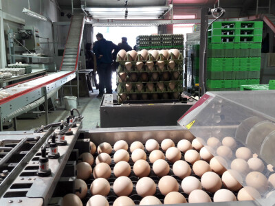 Seoski turizam u Koruškoj