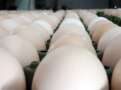 Seoski turizam u Koruškoj