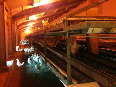 Seoski turizam u Koruškoj