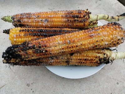 Seosko domaćinstvo "Crnjevo"