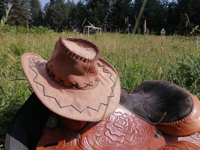 Seosko domaćinstvo "Crnjevo"