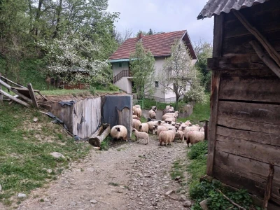 Seosko domaćinstvo "Crnjevo"