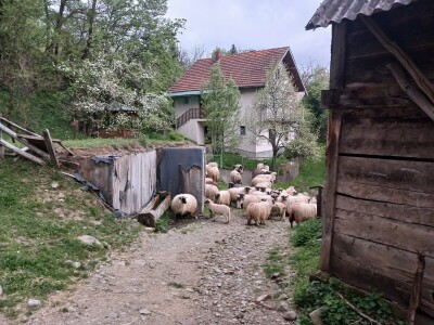 Seosko domaćinstvo "Crnjevo"