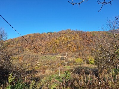 Seosko domaćinstvo Gabar