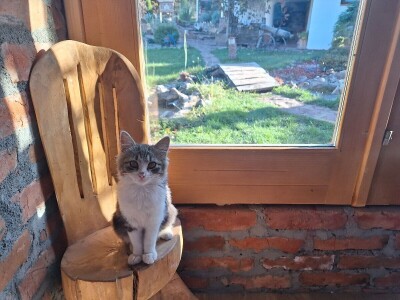 Seosko domaćinstvo Gabar