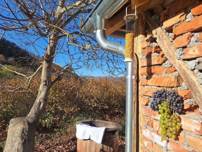 Seosko domaćinstvo Gabar