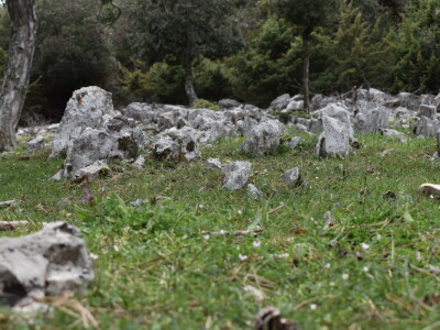 Seosko domaćinstvo Gažul