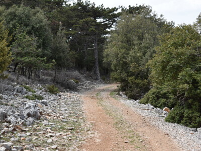 Seosko domaćinstvo Gažul