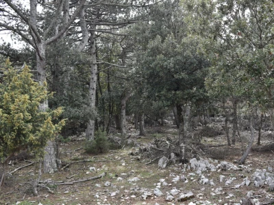 Seosko domaćinstvo Gažul