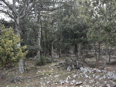 Seosko domaćinstvo Gažul