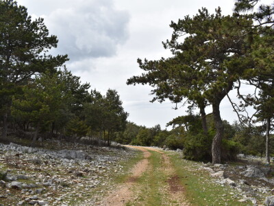 Seosko domaćinstvo Gažul