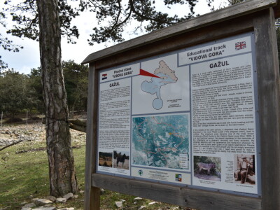 Seosko domaćinstvo Gažul