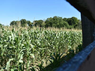 Seosko gospodarstvo Ivica i Marica