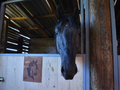 Seosko gospodarstvo Ivica i Marica