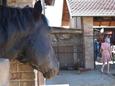 Seosko gospodarstvo Ivica i Marica