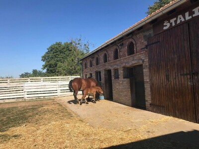 Seosko gospodarstvo Ivica i Marica