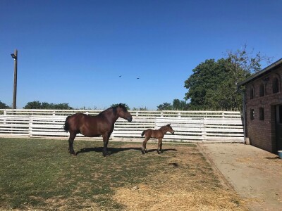 Seosko gospodarstvo Ivica i Marica