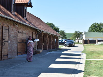Seosko gospodarstvo Ivica i Marica