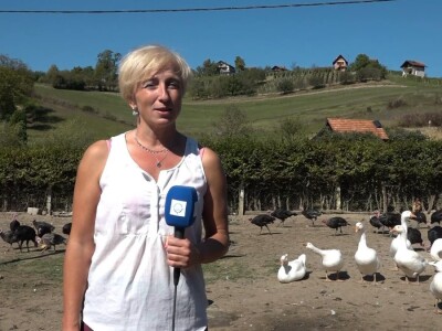 Vesna Mijat Vesna Mijat