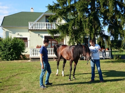 Ispred obiteljske kuće