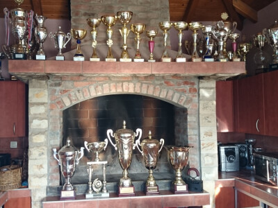 Dio pobjedničkih pehara